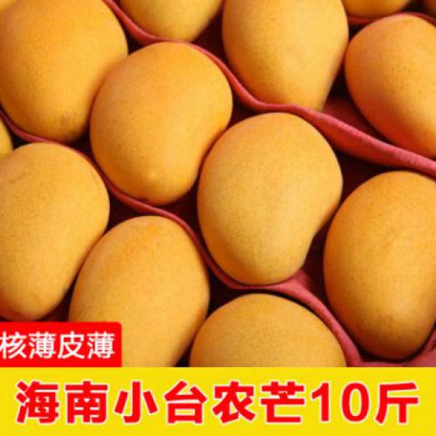 海南小臺農芒果新鮮水果當季小芒果應季小臺芒大青芒3/5/10斤帶箱整箱 10斤裝（實惠裝）
