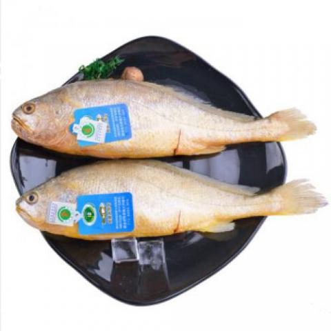三去深海寧德大黃花魚700g 2條 生鮮 海鮮水產(chǎn)